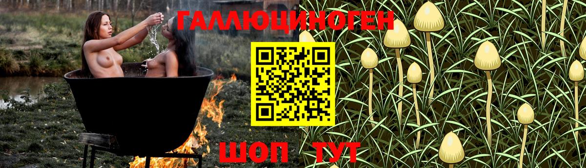 Балашов  Галлюциногенные грибы MAGIC MUSHROOMS  Вход с VPN 
