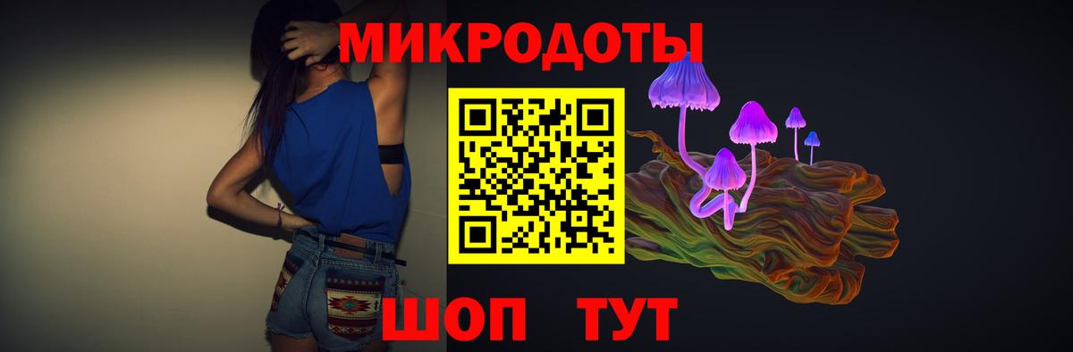 Псилоцибиновые грибы Cubensis Балашов